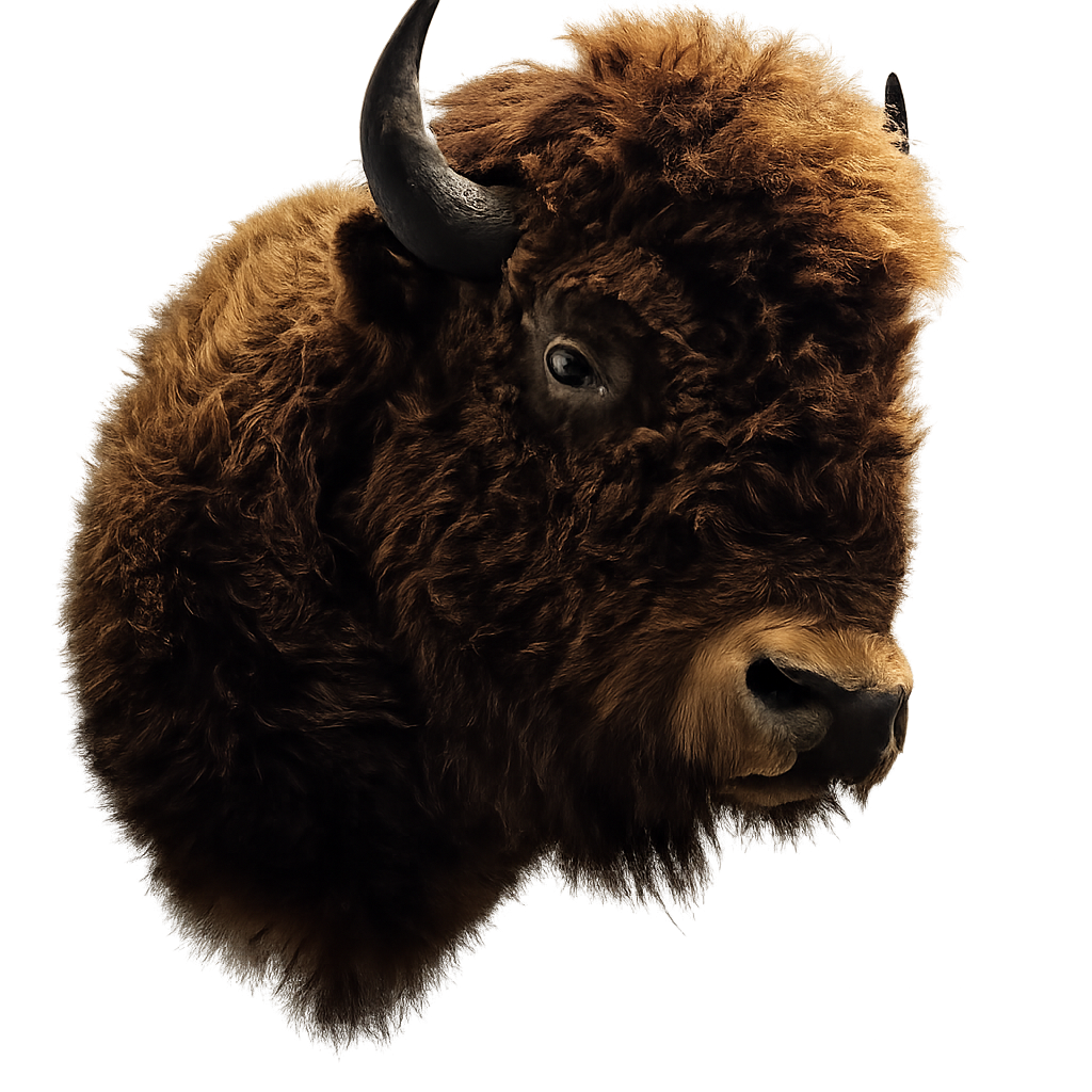 bison brun clair